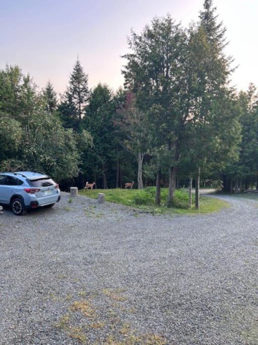 Fotografie z fotogalerie ubytování Cedar camp v destinaci Rangeley