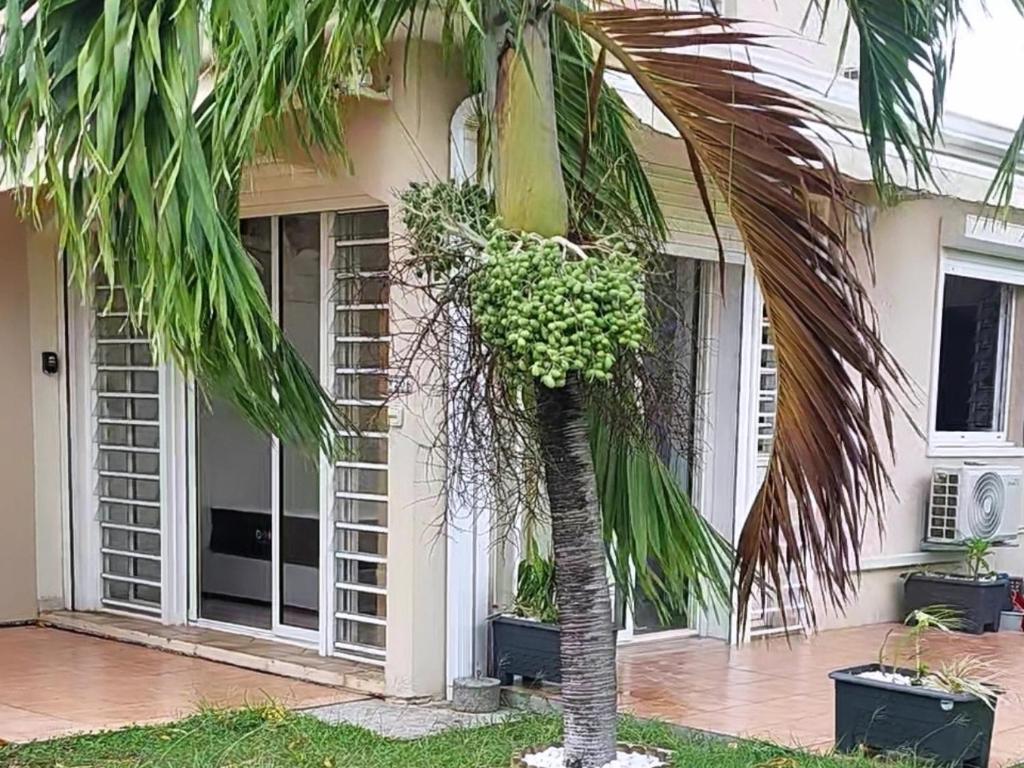 Zahrada ubytování SOLEY KARAIB Appartement au Vauclin Martinique