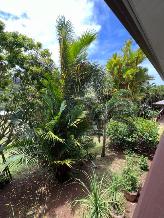 A garden outside Rupe Rupe Lodge