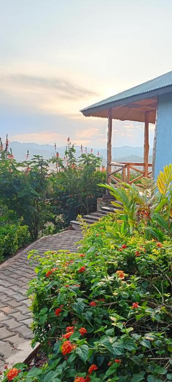 Bwindi Neckview Lodge