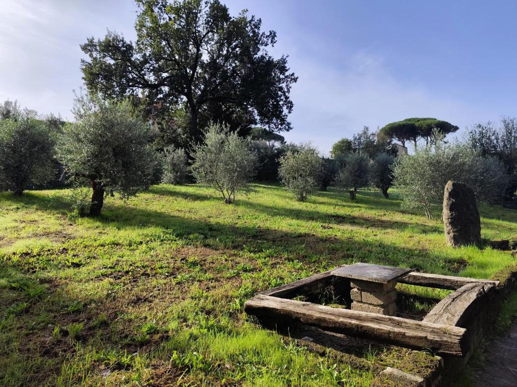 Zahrada ubytování Green Hotel Poggio Regillo