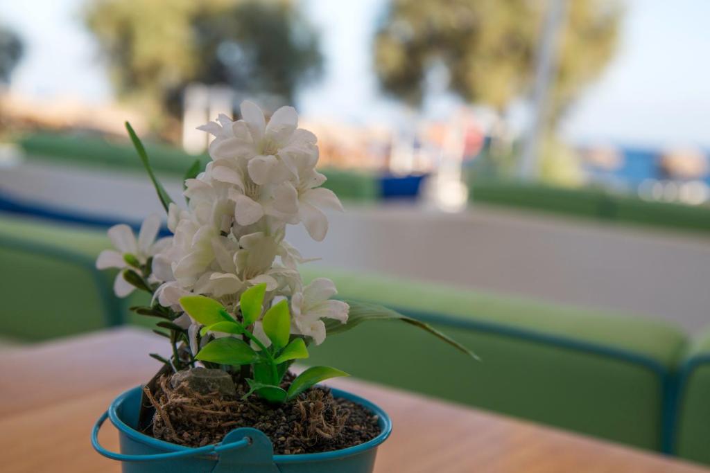 Zahrada ubytování Glykeria Mini Suites