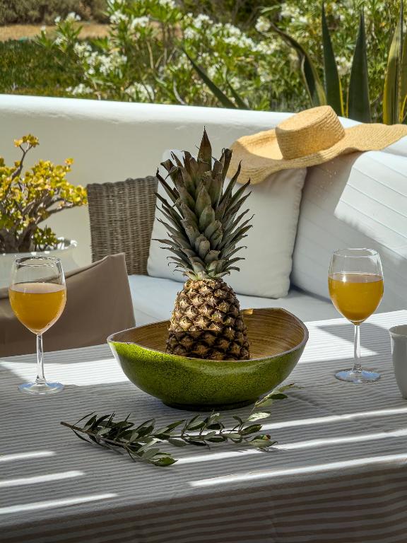 Joogid majutusasutuses Lithia Villas