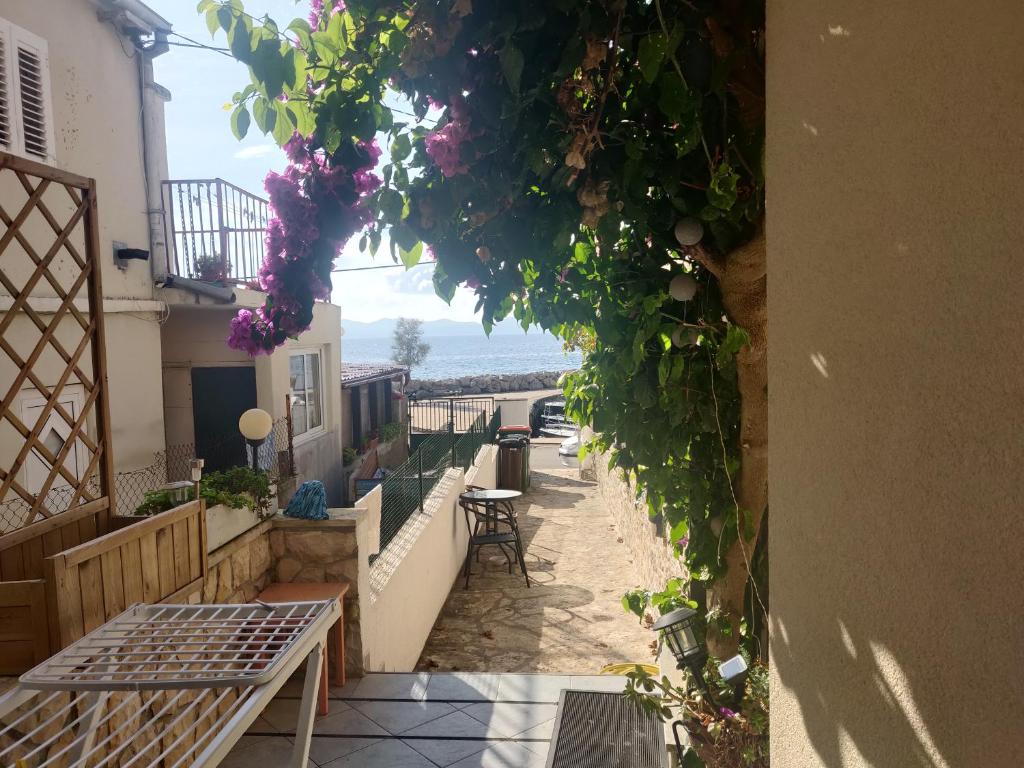 Fotografie z fotogalerie ubytování Apartment Milin by the sea-Zadar-Diklo v destinaci Zadar