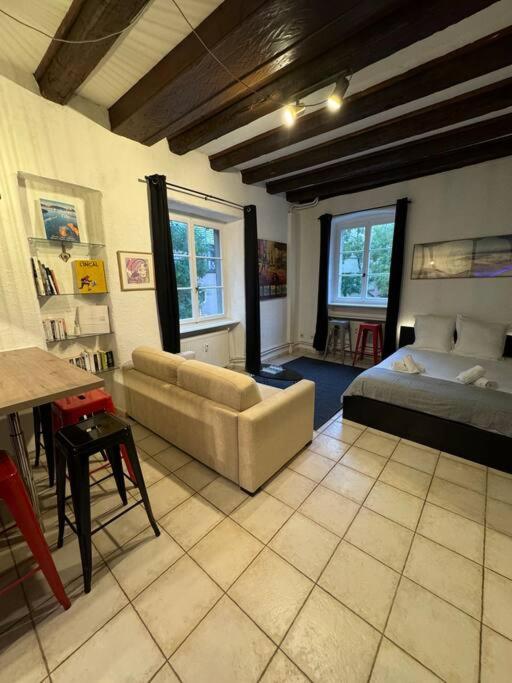 Suite Schwendi - L'Authentique - en Hypercentre – photo 6
