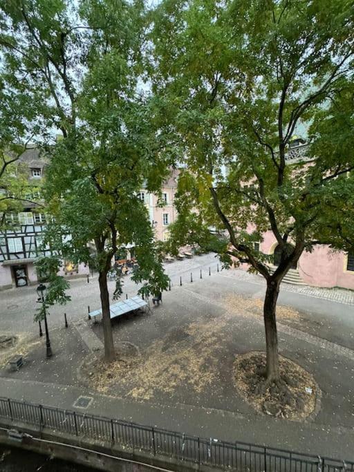 Suite Schwendi - L'Authentique - en Hypercentre – photo 18