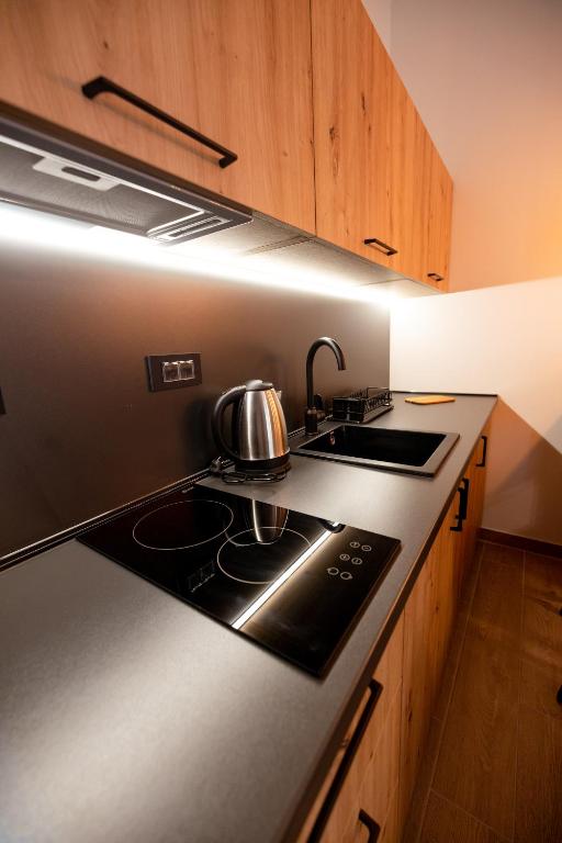 Kuchyň nebo kuchyňský kout v ubytování Top Zlatar Apartmani