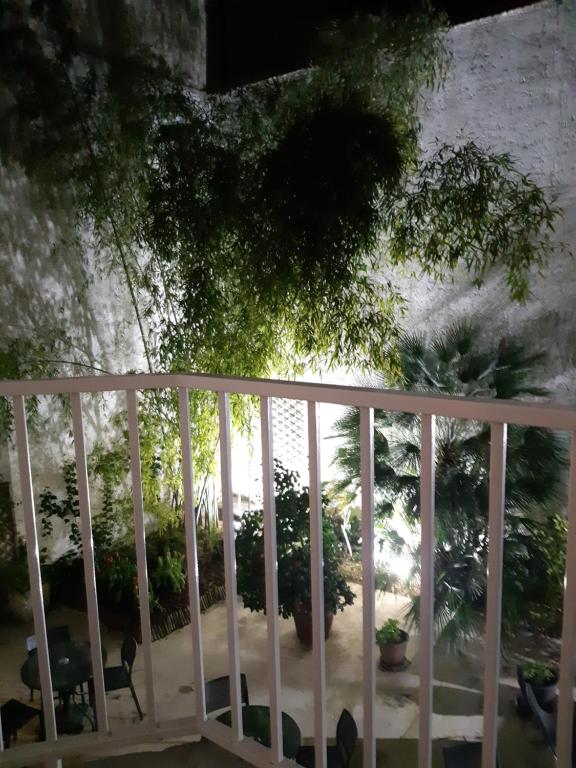 Hôtel Orchidée - Resim 31