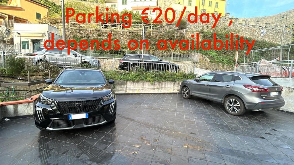 Cà Vivaldi penthouse 5terreparco - 8