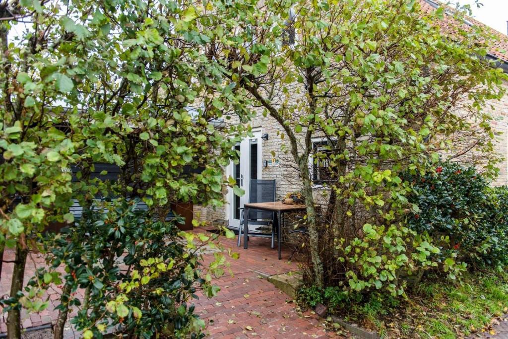 a patio with a table and trees in front of a house at Dit Eiland (2p) in Hollum