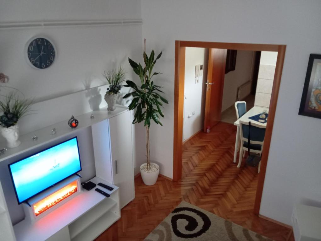 Televiisor ja/või meelelahutuskeskus majutusasutuses Apartman Dionis SM 2