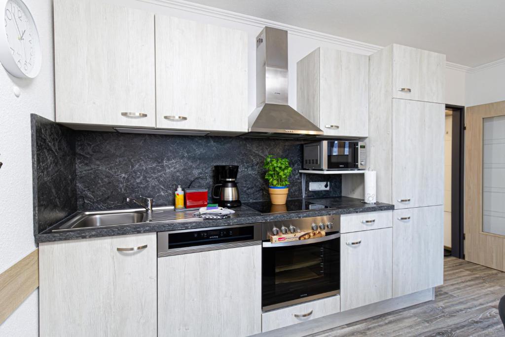 Kuchyň nebo kuchyňský kout v ubytování Ferienwohnung Activities & Relax, Skilift&Downhill