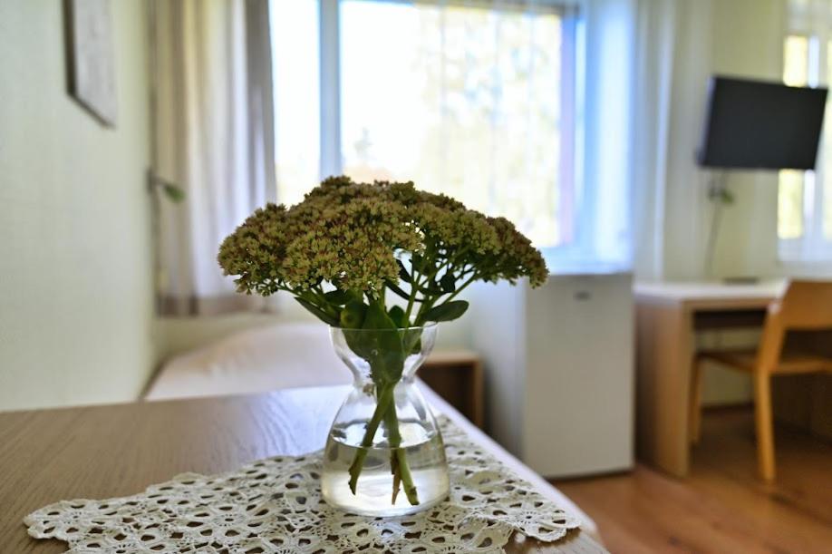 TV a/nebo společenská místnost v ubytování Vinni Hostel