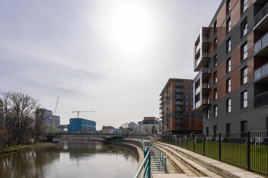 RentPlanet - Apartamenty Michalczyka - 11