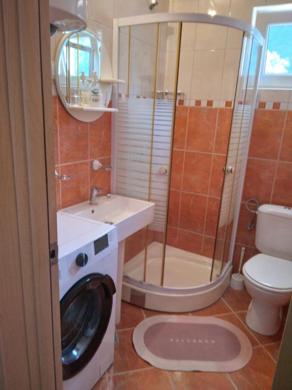 Koupelna v ubytování Apartments Mitrović Podličak