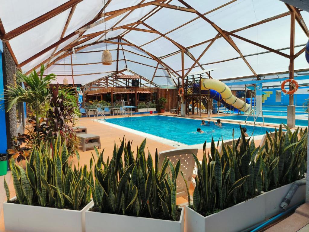 Bazén v ubytování HOTEL CARIBEAN REAL nebo v jeho okolí