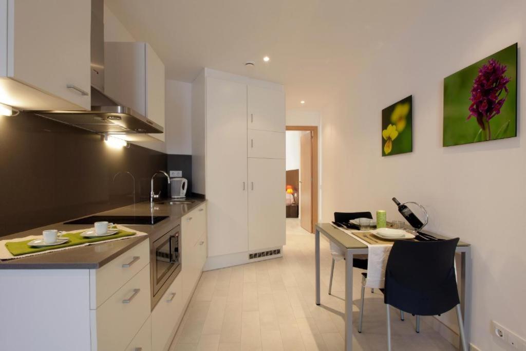 Kuchyňa alebo kuchynka v ubytovaní Fisa Rentals Les Corts Apartments