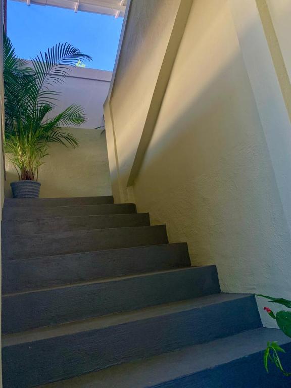 Fotografie z fotogalerie ubytování Oasis 2 v destinaci Mahébourg