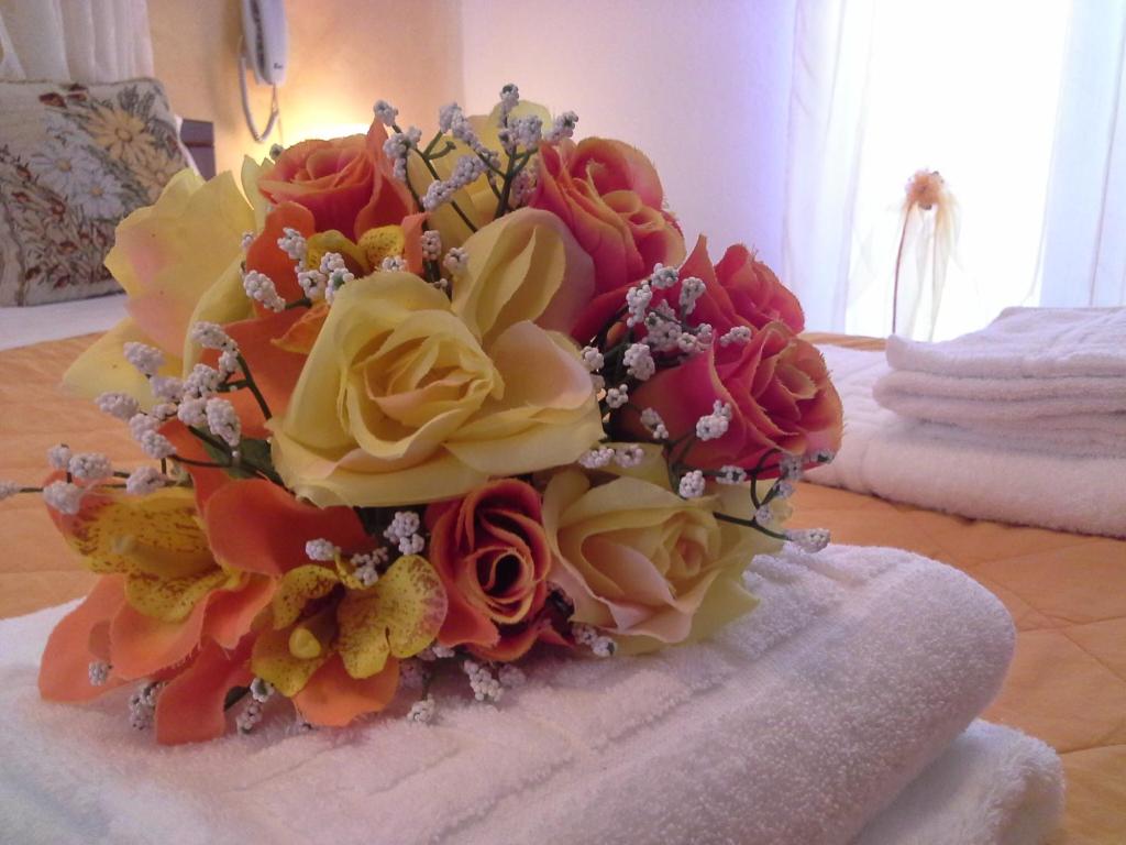 Kiklamino Sunset Studios - 19