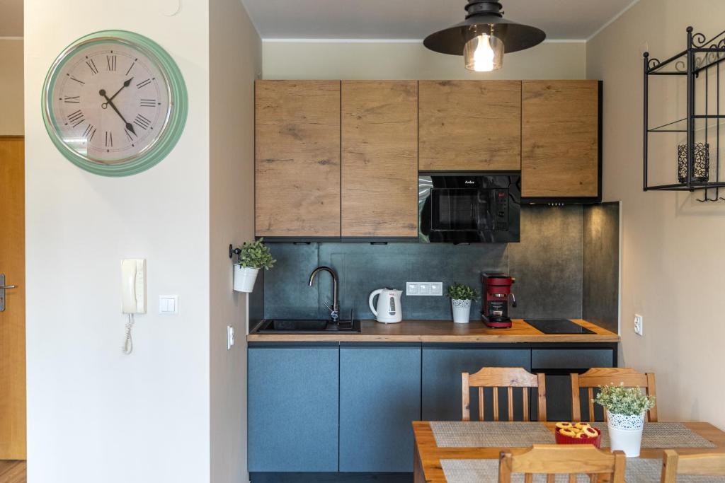 Kuchyňa alebo kuchynka v ubytovaní Apartamenty Viva Maria Zakopane