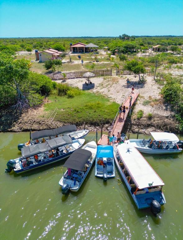 a group of boats are docked in the water at Flor da Mata- Ilha das Canárias in Araioses