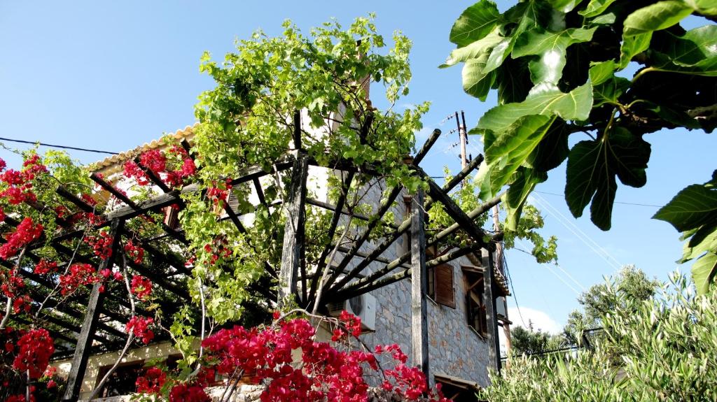 a wooden pergola with red flowers in front of a building at Papanestoras Apartments in Kardamili