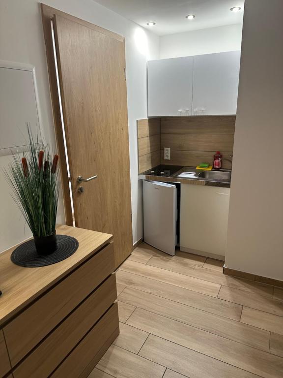 Kuchyň nebo kuchyňský kout v ubytování Hotel Kreuz Renchen