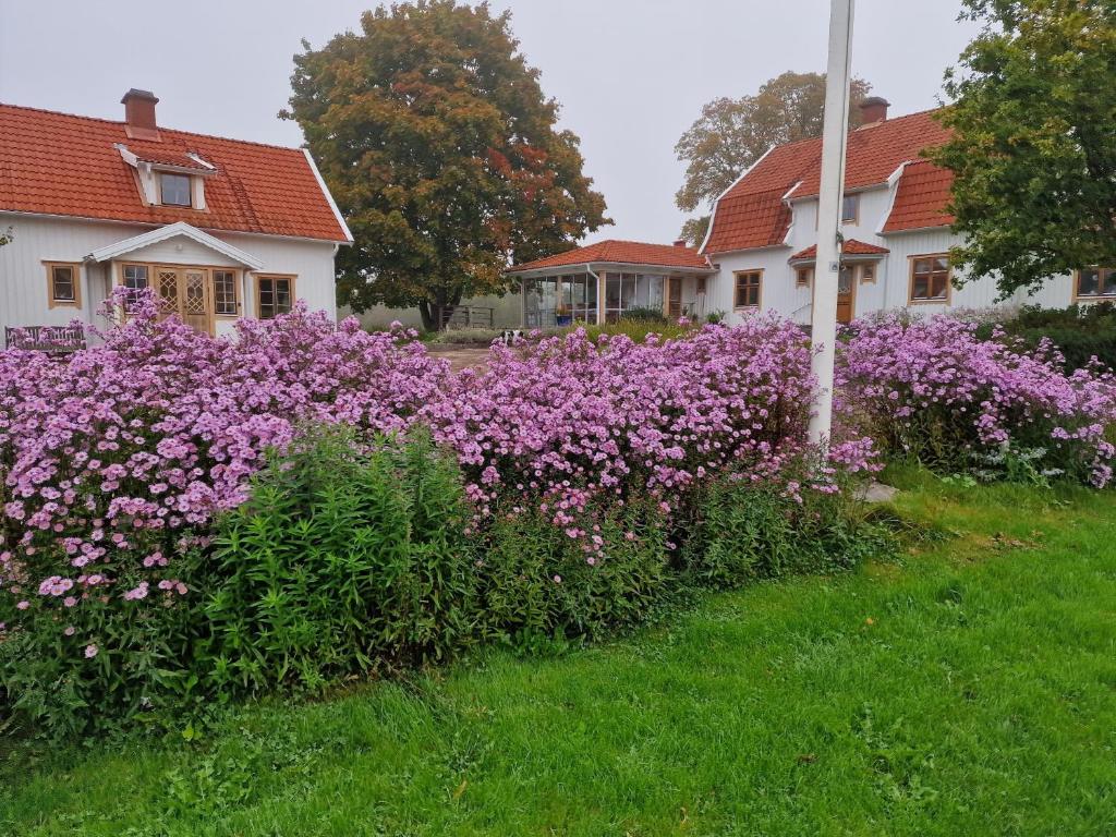 Zahrada ubytování Stuga i Småland