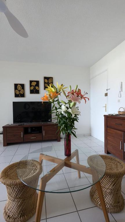 TV a/nebo společenská místnost v ubytování ALTERA SEA VIEW 2 Chambres