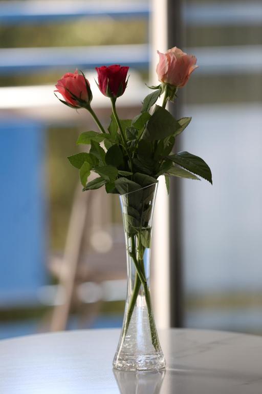 Hotel Soimul - Resim 41