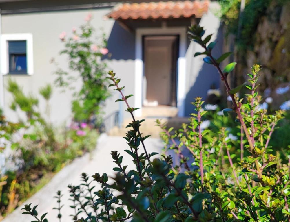 Un jardín con flores delante de un edificio. en Casa 1883, en Cevide