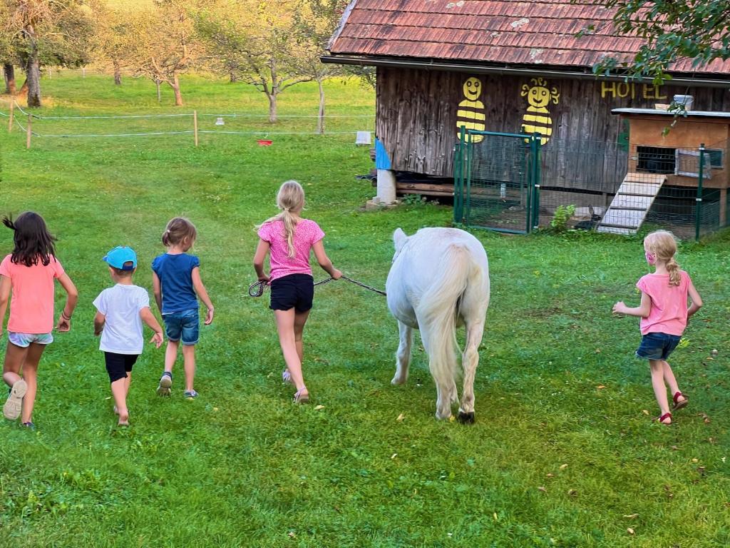 Děti v ubytování Rutarhof