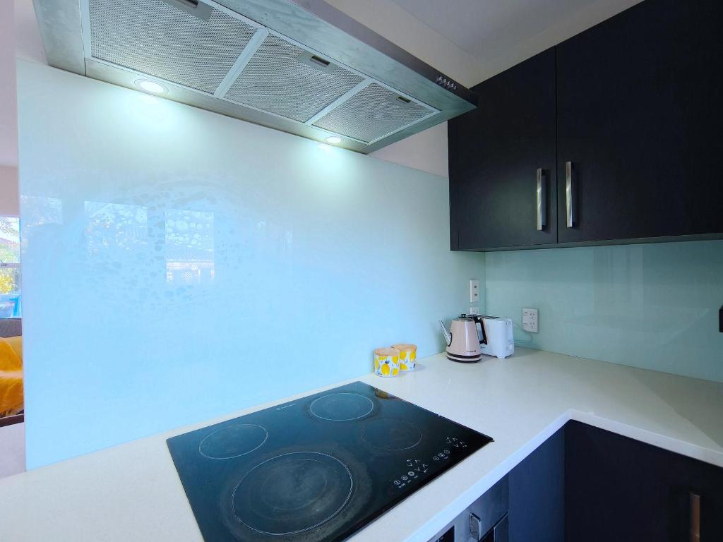 Lakefornt Central Comfort Near Beach - Resim 14