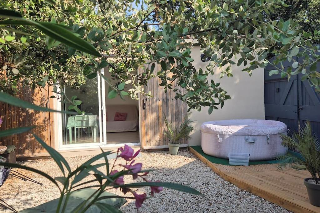 un jardin avec un pouf assis sous un arbre dans l'établissement Studio en vaucluse , campagne jacuzzi près d Orange, à Mondragon