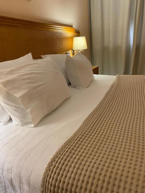 Uma cama ou camas num quarto em Hotel Lusitano