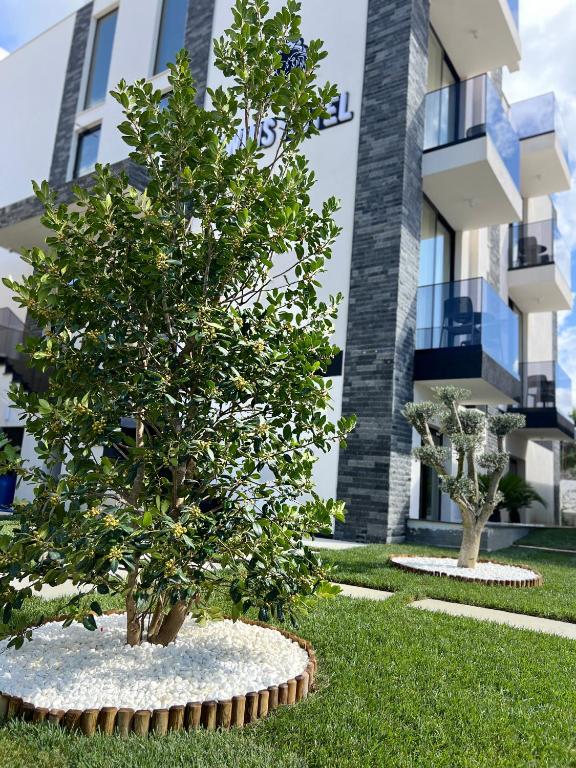 Zahrada ubytování Twins Hotel Vlore