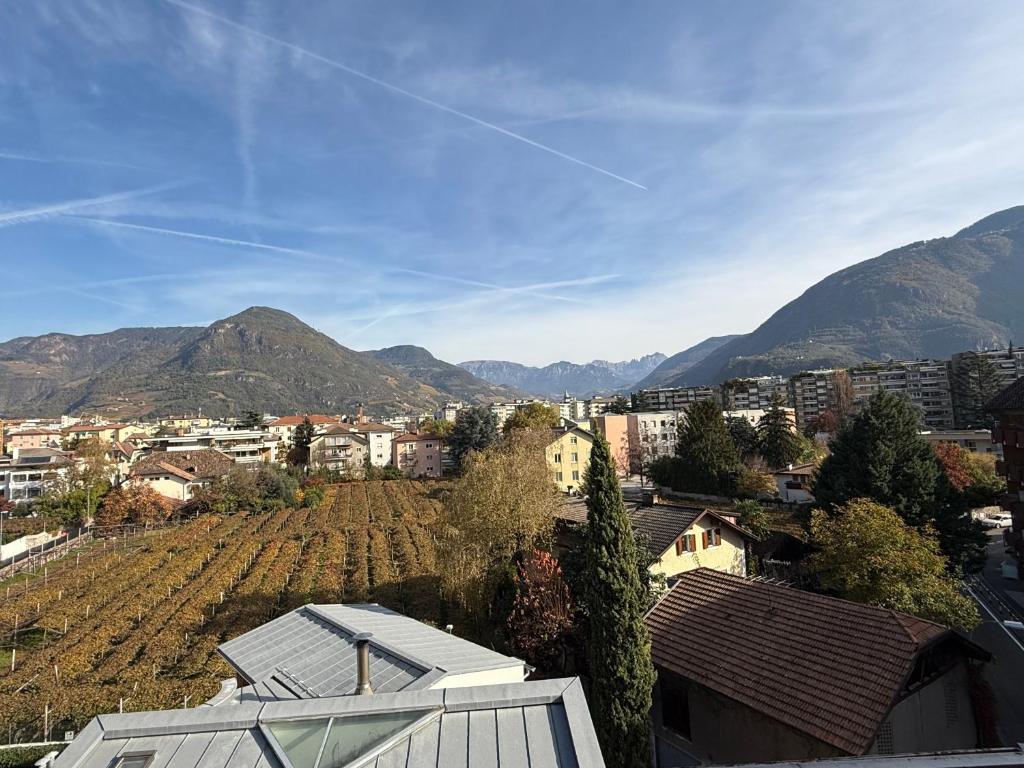 a view of a city with mountains in the background at Vista Rosengarten in Bolzano