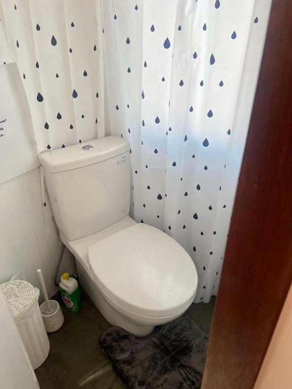 Decker Daze Queenstown - Resim 21