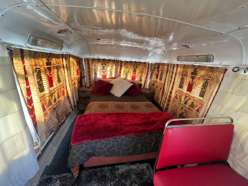 Decker Daze Queenstown - Resim 30