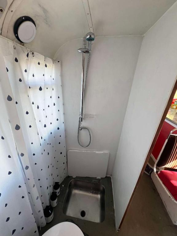 Decker Daze Queenstown - Resim 22