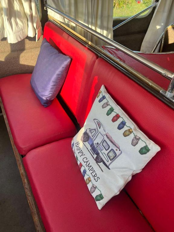 Decker Daze Queenstown - Resim 32