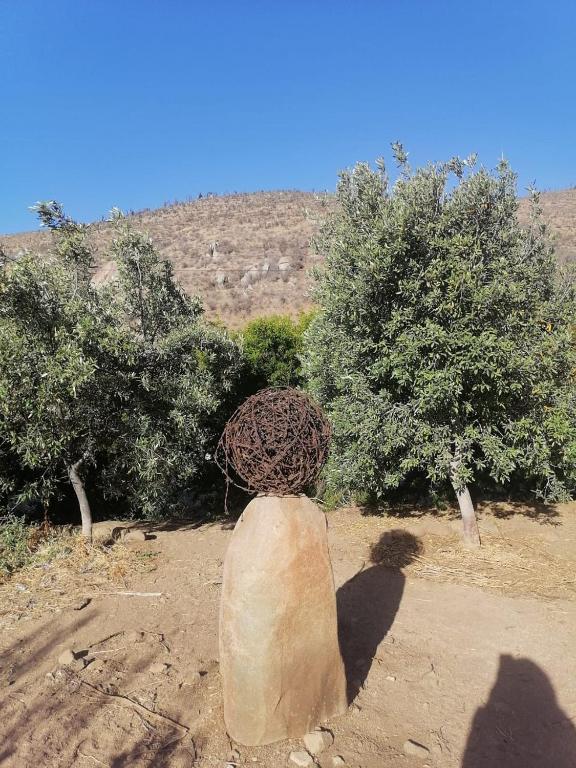 Foto sihtkohas Canela Baja asuva majutusasutuse Hostal Los Almendros galeriist