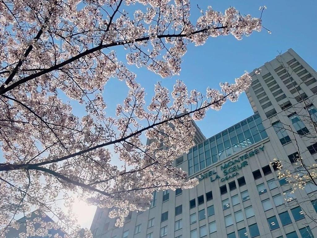 大阪市にあるホテルモントレ ラスール大阪の建物前のピンクの花の木