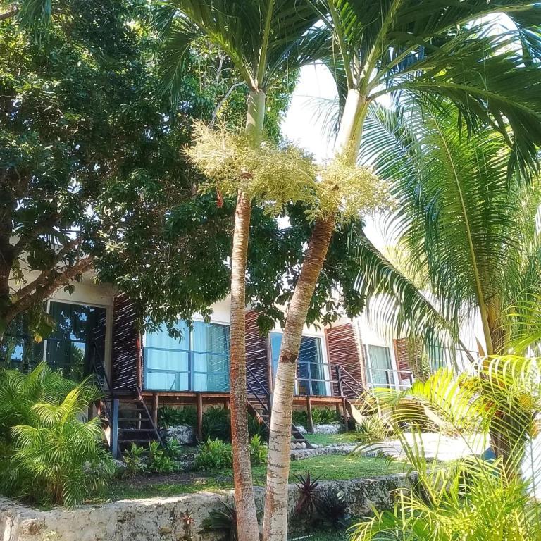 Zahrada ubytování Hotel Xurús Bacalar