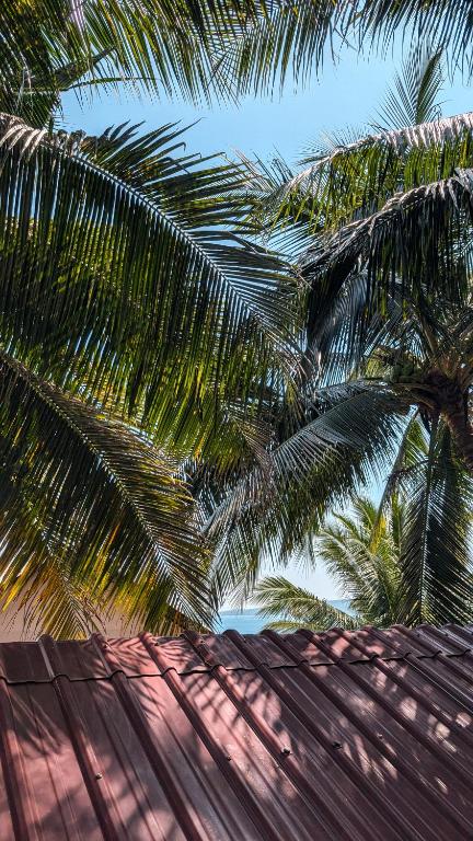 Foto sihtkohas Kaôh Rŭng (3) asuva majutusasutuse Skybar Koh Rong galeriist