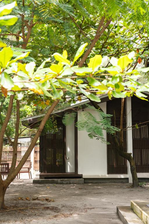 Zahrada ubytování Aluntala Hostel