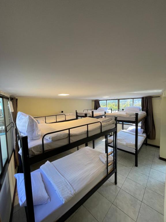 
Bunk Bed in Mixed Dormitory Room

