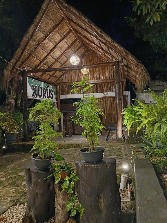 Zahrada ubytování Hotel Xurús Bacalar