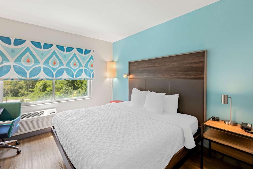 Tru by Hilton Asheville Blue Ridge Parkway - キングルーム