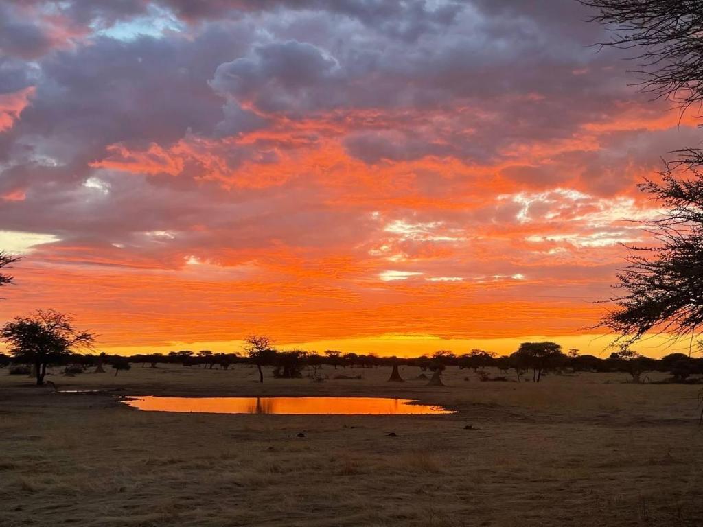 Avenir Safari Group, Okahandja (updated prices 2026)